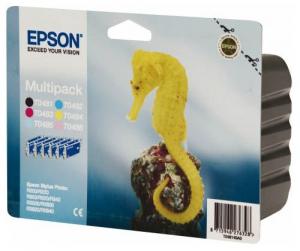 Epson Slylus Photo R300